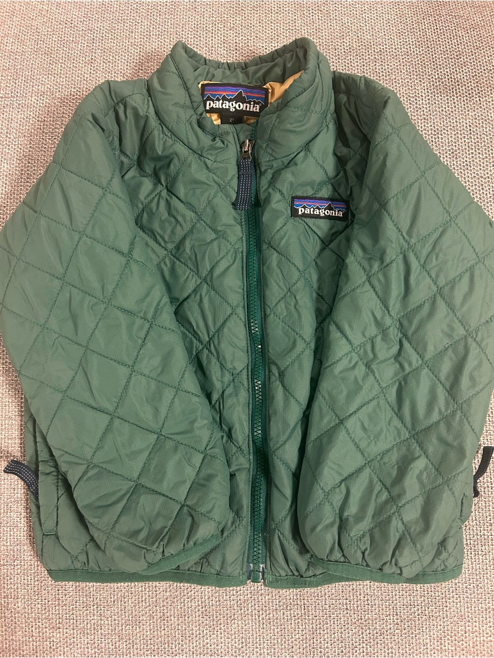 Patagonia Kids Forest Green Nano Puff Jacket